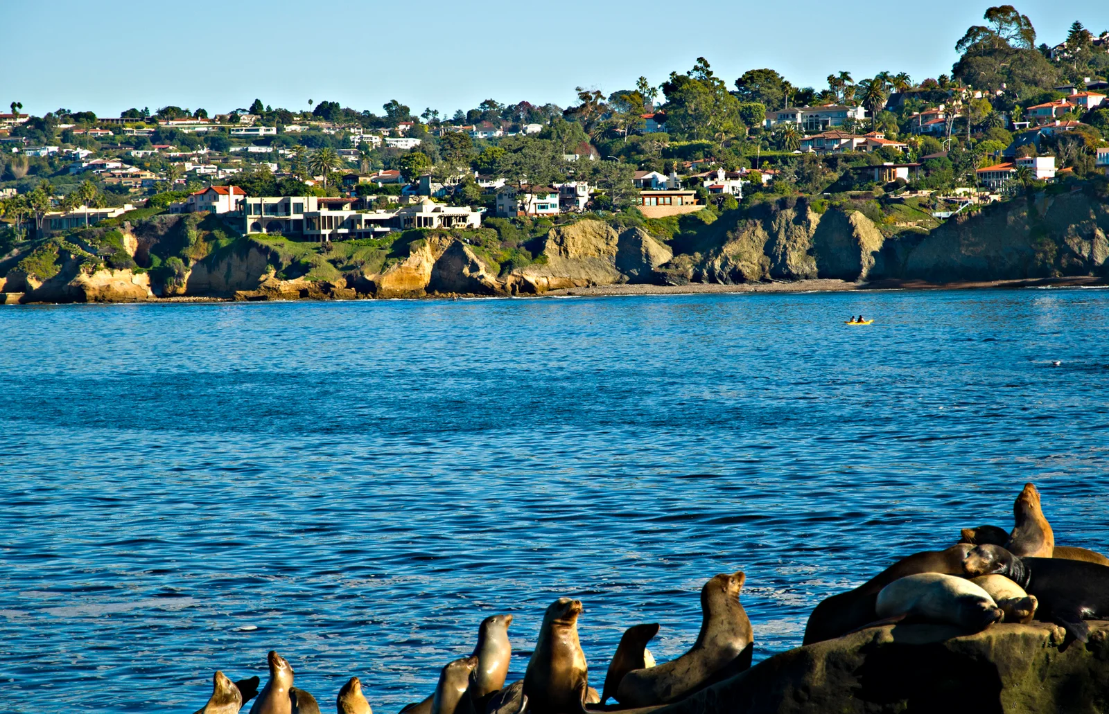 La Jolla Shores coastline in San Diego with sea lions in the foreground in 2011
